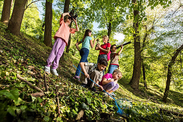 istock Little explorers with a teacher in the forest. 538476556