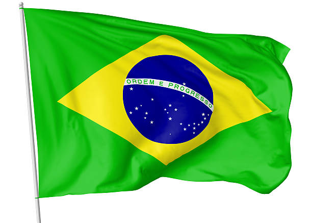 istock Flag of Brazil with flagpole 538476608