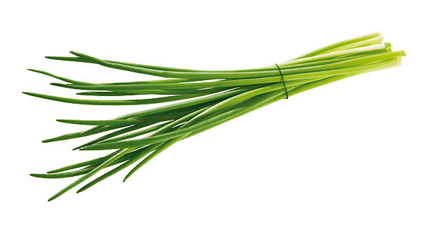 istock bunch of chives 538477707