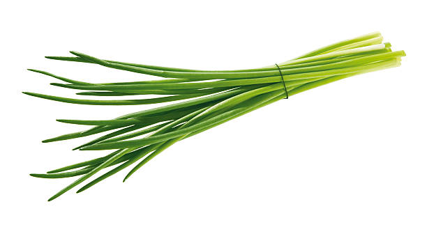 bunch of chives isolated chives on white background chive photos stock pictures, royalty-free photos & images