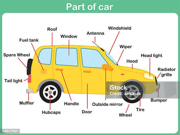 Leaning Parts Of Car For Kids Worksheet Stock Illustration - Download Image Now - Bumper, 2015, Animal Antenna