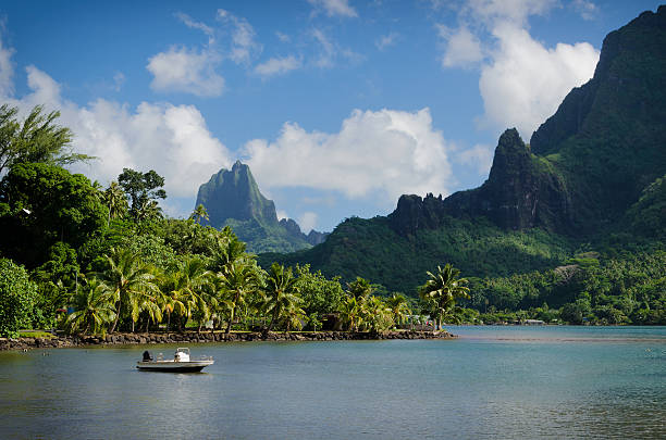 Landscape on green Moorea Boat in Cooks Bay with Moua Puta mountain in the background in a green jungle landscape on the tropical island of Moorea, near Tahiti in the Pacific archipelago French Polynesia. polynesia photos stock pictures, royalty-free photos & images