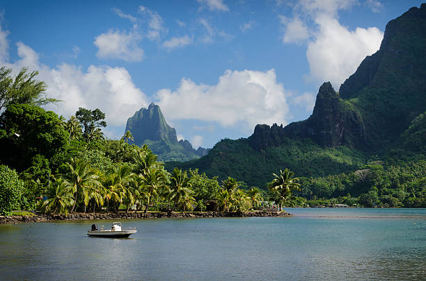 Landscape on green Moorea Boat in Cooks Bay with Moua Puta mountain in the background in a green jungle landscape on the tropical island of Moorea, near Tahiti in the Pacific archipelago French Polynesia. bora bora mountain stock pictures, royalty-free photos & images