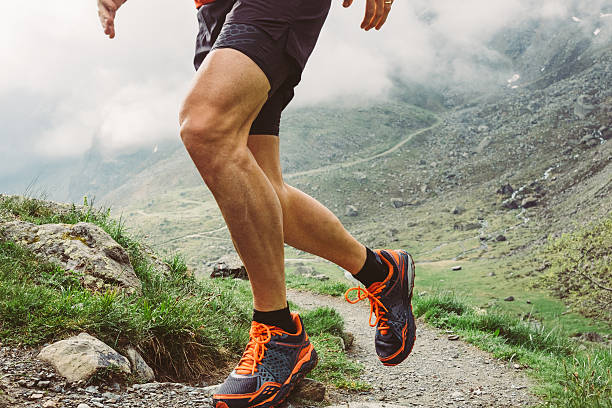 istock Man trail running on a path in the mountain 538480512