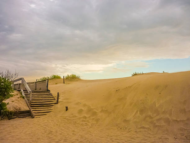 sand dune with grass and tree branches in summer day, no people. clouds on the sky.