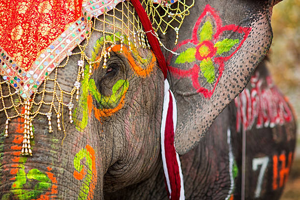 istock Close up of colorful painted elephant head 538482102