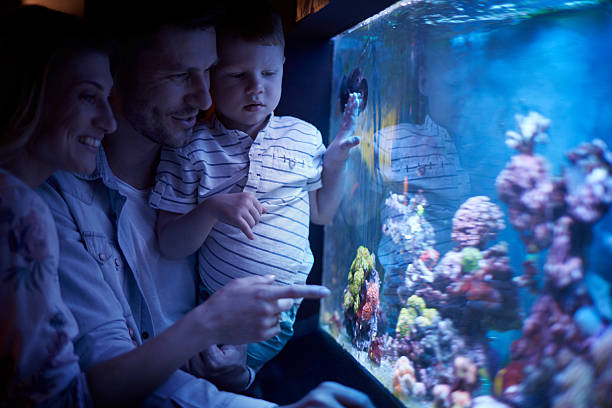 istock Family day at the aquarium 538482618
