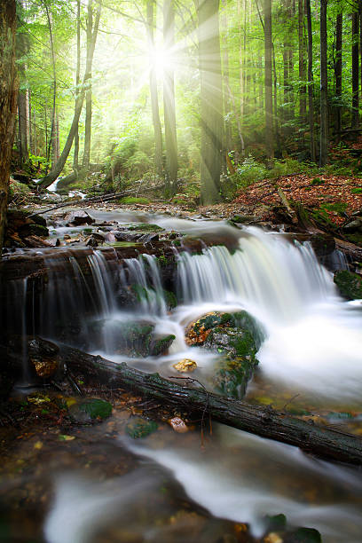 istock Beautiful waterfalls in the Bavarian Forest-Germany 538483425