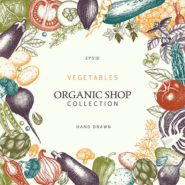 ilustrações, clipart, desenhos animados e ícones de eco comida modelo com legumes esboço desenhado à mão - vegetable garden illustrations
