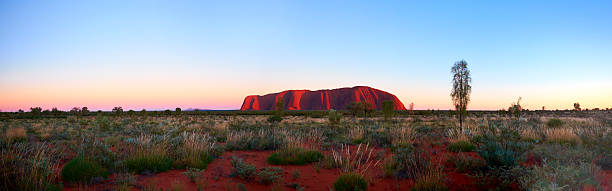 uluru aube panorama - uluru australia northern territory sunrise photos et images de collection