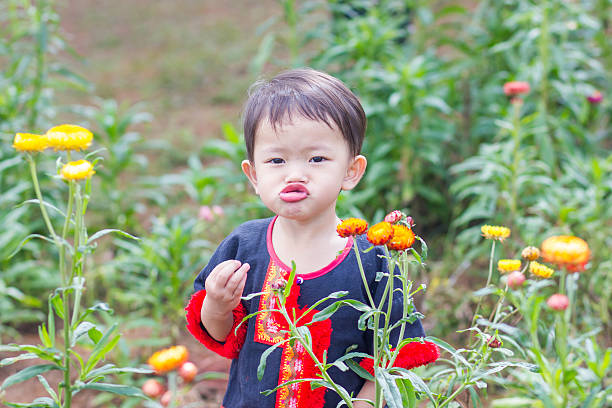 istock asian boy is looking at the red flowers in summer 538486086