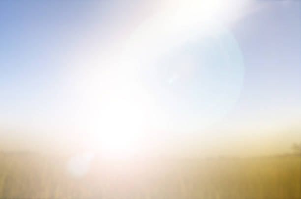 Blurred nature background Vintage Style Bright Sun Bokeh Flare Relax Shine