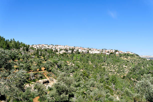 istock Scenic view of Jerusalem suburb. 538489026