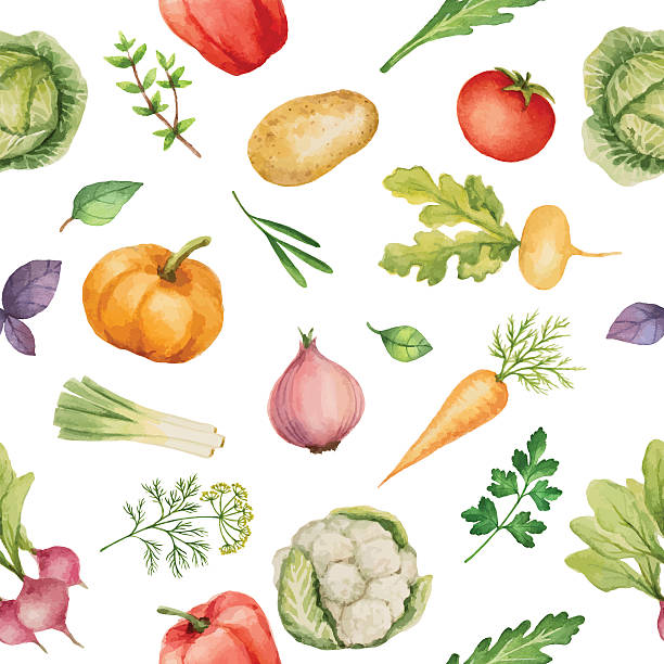 Seamless pattern with watercolor vegetables. Seamless pattern with watercolor vegetables. Hand drawn food texture with radishes, peppers, potatoes, cabbage, turnips, onions, carrots, tomato, cucumber, cilantro, Basil, arugula, parsley.Vector illustration. ingredient illustrations stock illustrations