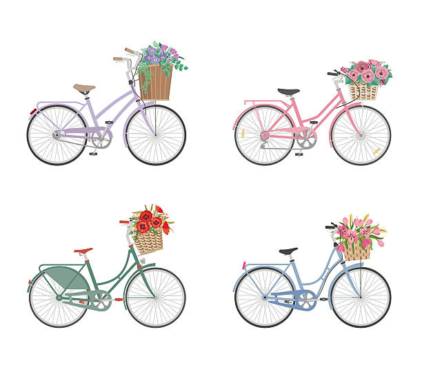 Set of bicycles with basket full of flowers Set of retro bicycles with basket full of flowers in modern flat style. Woman bicycle. Vector illustration bicycle basket stock illustrations