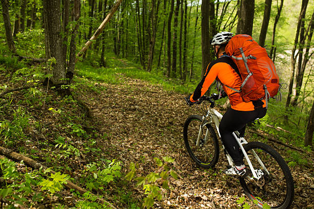 istock Cyclist Riding the Bike in Beautiful Spring Forest 538491094