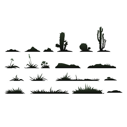 Set of black silhouettes of cactus and succulents plants on a white background
