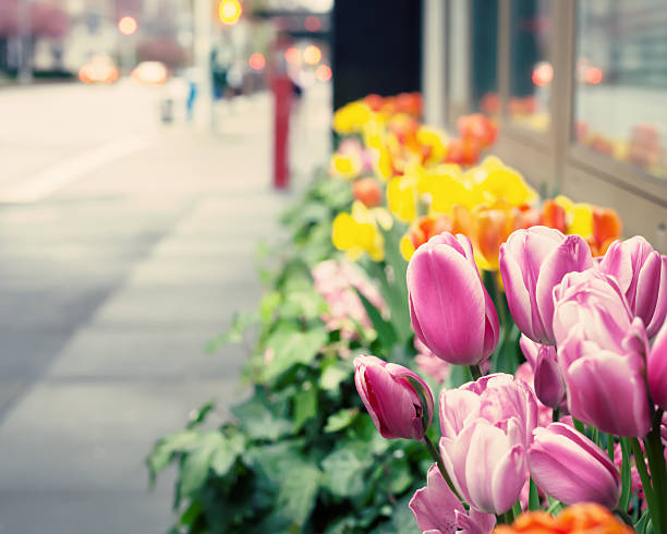 istock New York City Spring 538503195