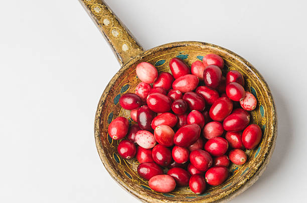 Bowl of cranberries stock photo
