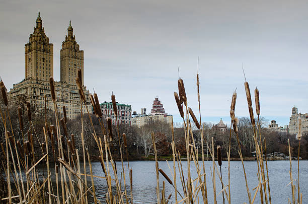 Water view of Central Park stock photo