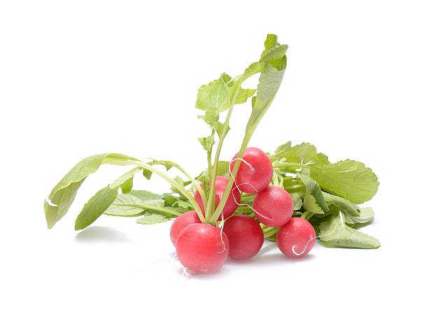 新鮮な白大根 - radish isolated bunch vegetable ストックフォトと画像