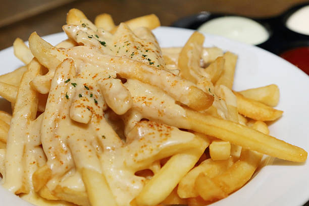 french fries with melted cheese