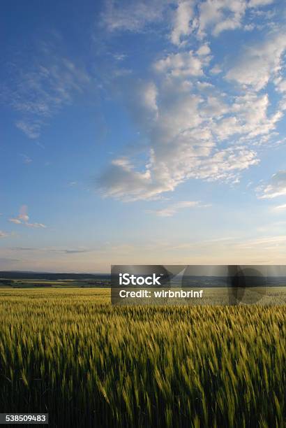 Foto de Gerstenfeld In Der Dämmerung e mais fotos de stock de 2015 - 2015, Agricultura, Campo