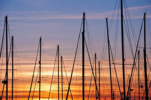 Silhouettes of sailboats against the warm colors of the setting summer sun in Everett Washington. 