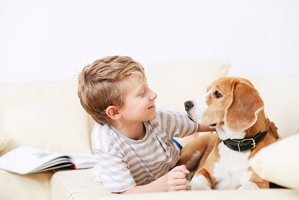 istock Two friends - boy and dog lying together on sofa 538511371