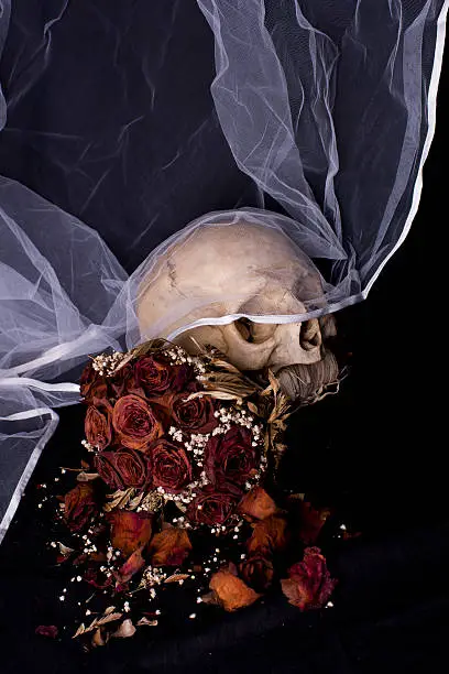 Photographic Still Life about the enduring love of Romeo and Juliet in a tragedy by William Shakespeare.