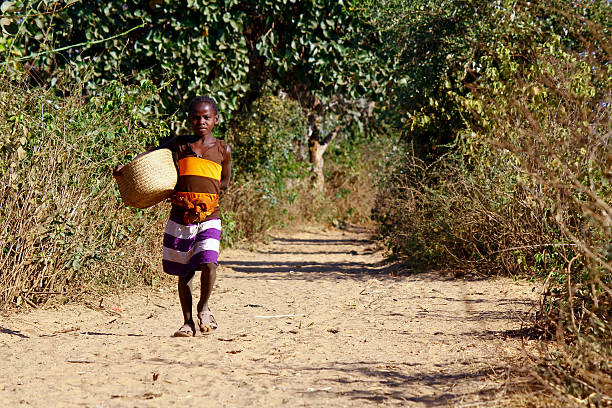 istock Poor african girl walking the  path with basket 538526961
