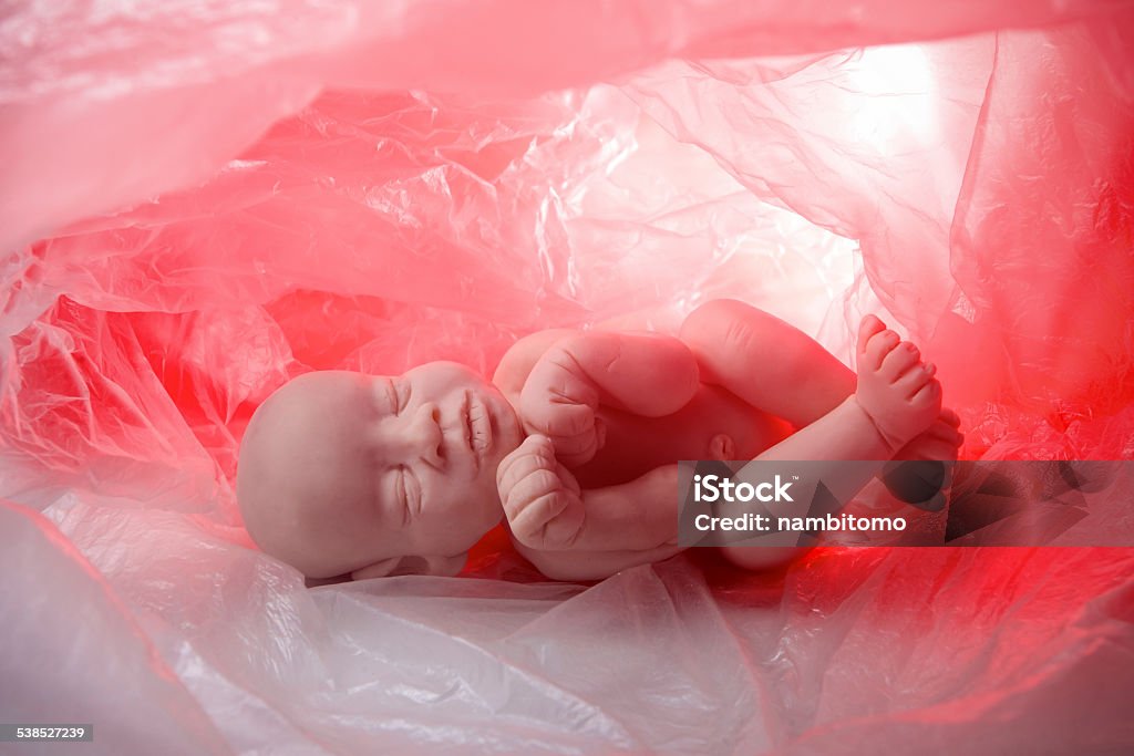 Concept embryo, abortion 2015 Stock Photo