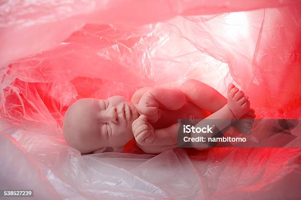 Concept Embryo Abortion Stock Photo - Download Image Now - 2015, Baby - Human Age, Childbirth
