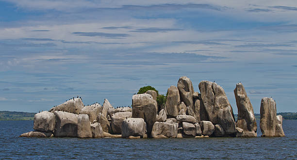 ロッキー島でビクトリア湖 - lake victoria ストックフォトと画像