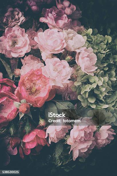 Roses Stock Photo - Download Image Now - Flower, Backgrounds, Rose - Flower