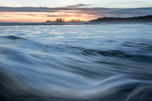 istock Waves at Chesterman's Beach near Tofino, Canada 538530661