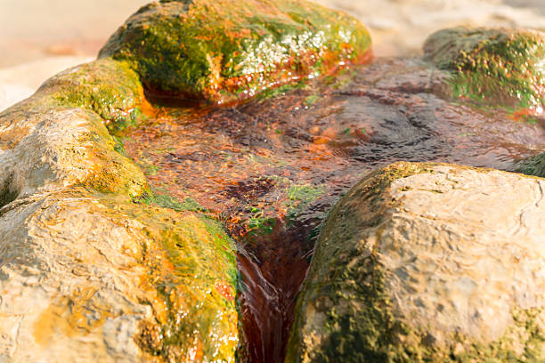 Amazing photo of the hot spring in the mountains