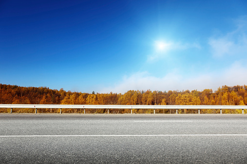 road in autumn forest