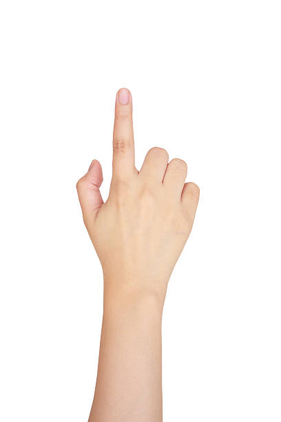 istock female hand touching, pointing to something 538558134