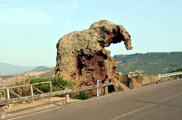 Elephant rock, one of the symbols of Sardinia Elephant rock, one of the symbols of Sardinia. Moving from Castelsardo direction Sedini, you will meet the Elephant Rock, a nice Domus de Janas shaped by the wind, that took the form of an elephant. castelsardo photos stock pictures, royalty-free photos & images