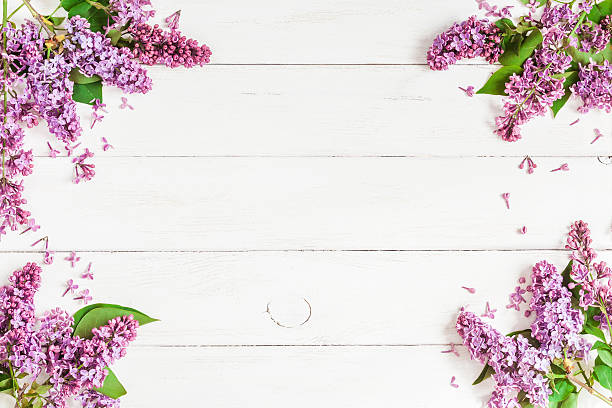 istock lilac flowers on white wooden background, top view, flat lay 538558636
