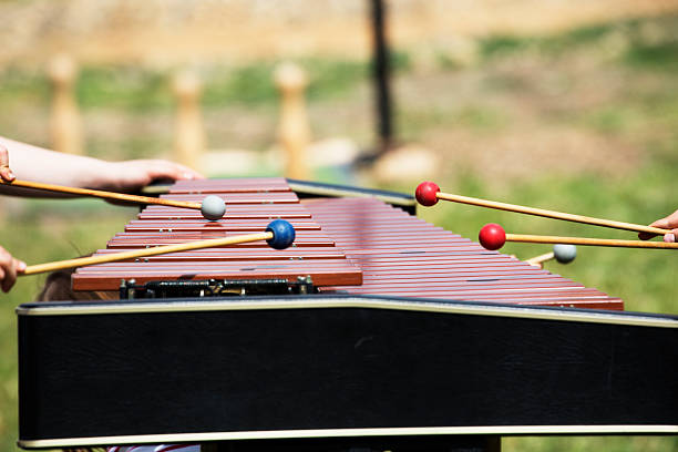 istock Xylophone with playing hands. Red marimba xylophone. Music percussion instrument. 538561446