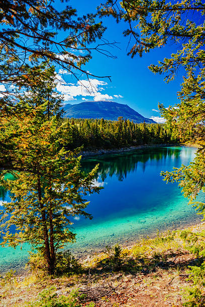 Third Lake, Valley of the 5 Lakes, Jasper NP, Alberta The Valley of the Five Lakes hike offers clear lakes with unique shades of jade and blue. The Valley of the Five Lakes loop is just under a 5km circuit. shades of blue stock pictures, royalty-free photos & images