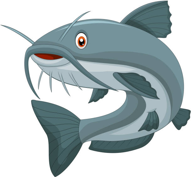 Cartoon catfish Vector illustration of Cartoon catfish catfish stock illustrations