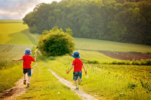 istock Adorable children, boy brothers, running in a field 538564206