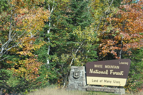 istock Fall Colors at White Mountain National Forest in New Hampshire 538564547