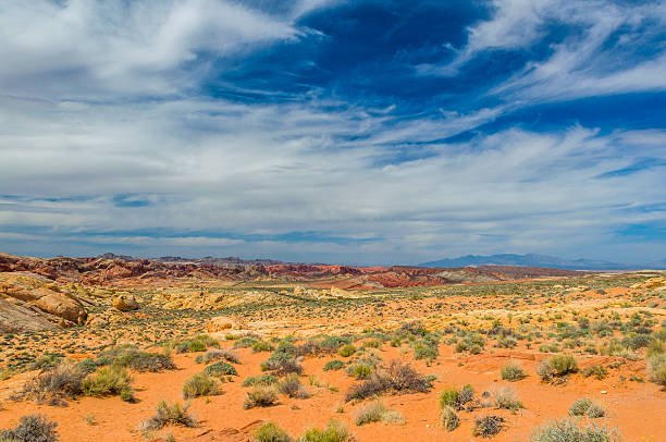 deserto di pietra - nevada usa desert arid climate foto e immagini stock