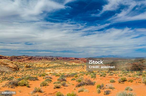 Stone Desert Stock Photo - Download Image Now - Desert Area, Texas, New Mexico