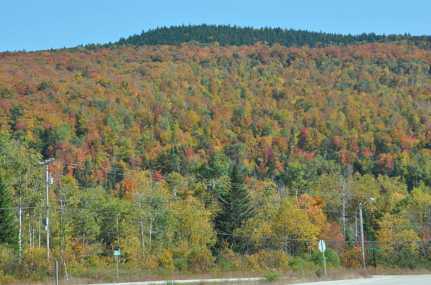 istock Fall Colors at White Mountain National Forest in New Hampshire 538565897