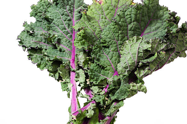 istock Green kale leaves isolated on white 538566543